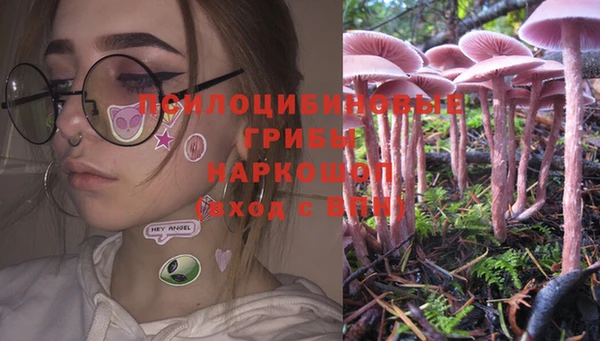 спиды Киров