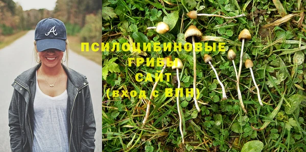 спиды Киров