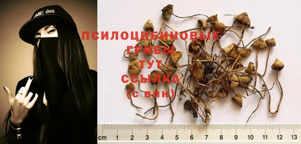 СК Горняк
